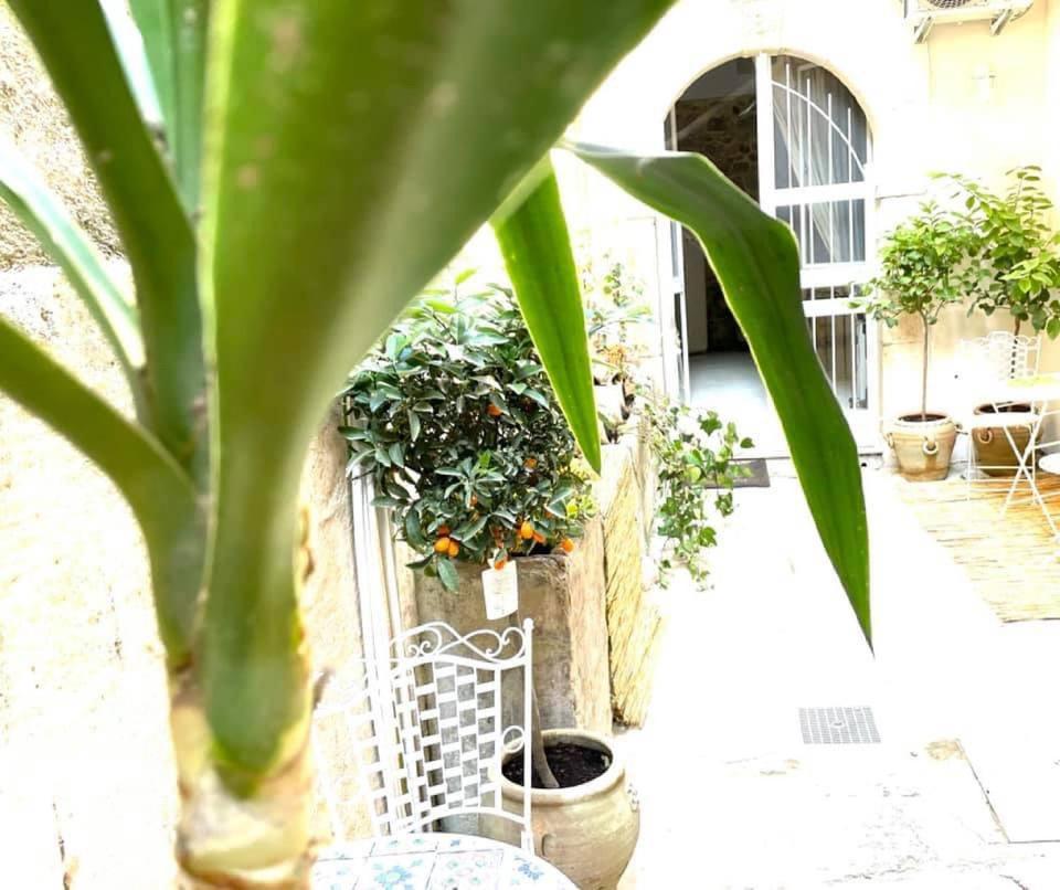 Lemon Suite Ortigia Syracuse Ngoại thất bức ảnh